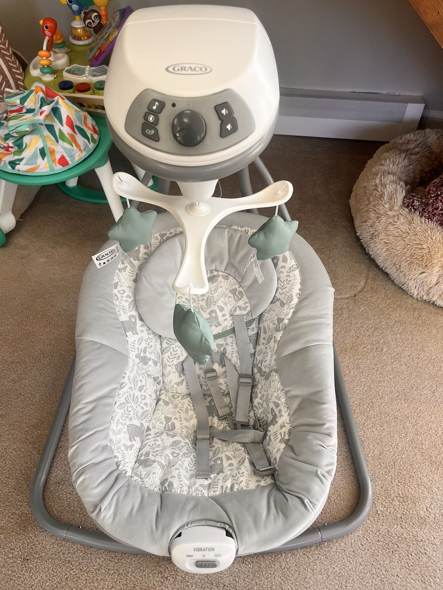 Graco Baby Swing