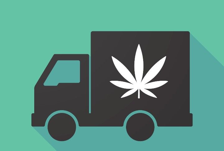Cannabis