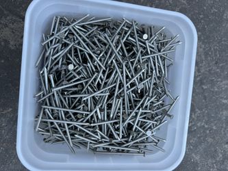 3.5” Common Nails