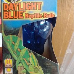 Reptile Lights 