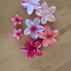 Plumeria Clip Set