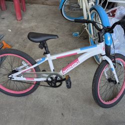 20 Inch Nishiki Bike