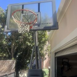 Basketball Hoop Reebok 