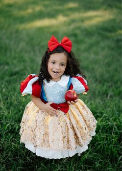 Snow White Toddler Princess Costume Dress
