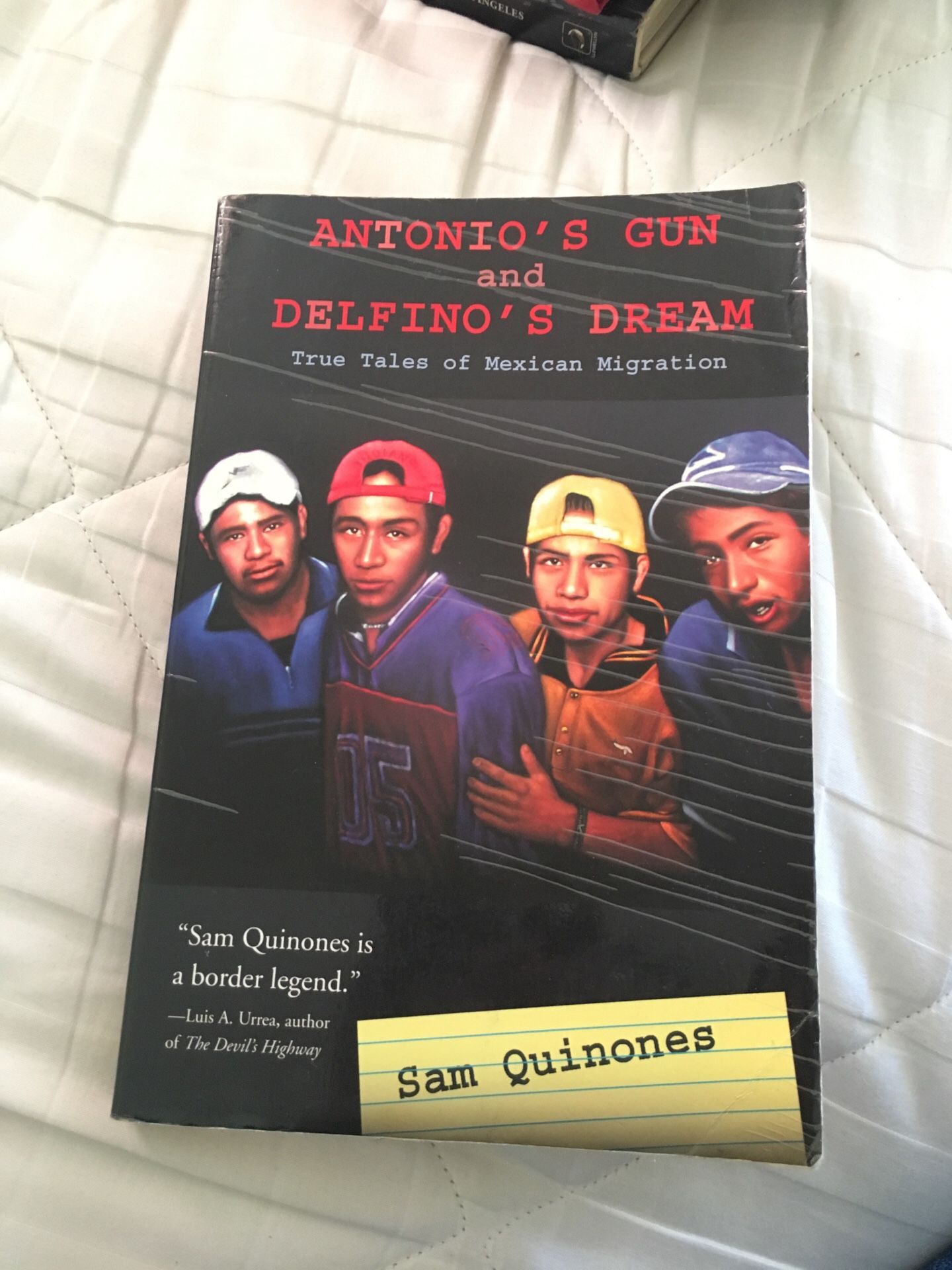 Antonio’s gun and Delfinos dream