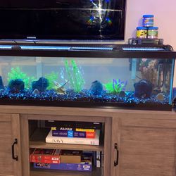 33 gallon long fish tank! for Sale in Bergenfield, NJ - OfferUp