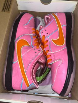Nice Nike SB dunk lows