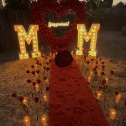 Will You Marry Me 