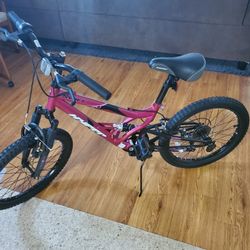 20" Rim Bike Brand New