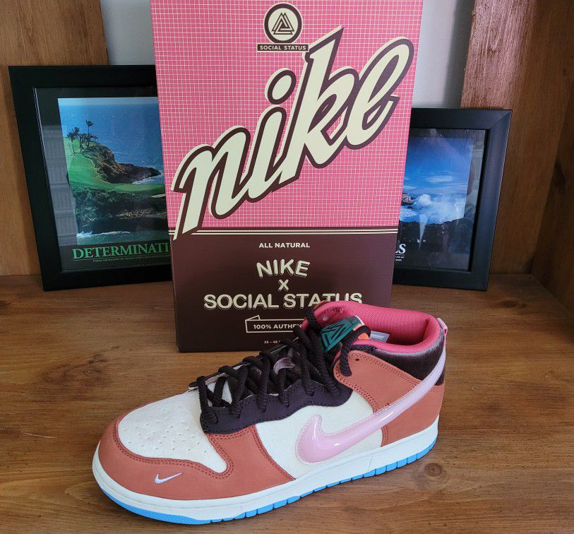 Nike Dunks "Chocolate Milk"