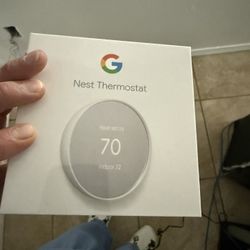 Google Nest Thermostat