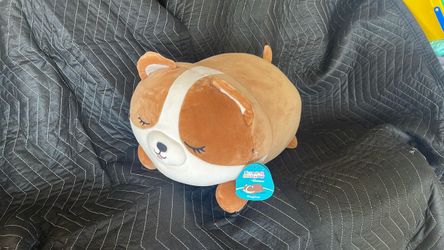 Corgi Sleepamallow Squishmallow with tag