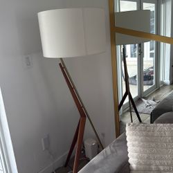 West Elm Floor Lamp, Lampara De Piso