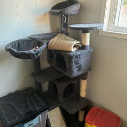 cat condo