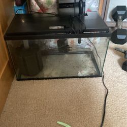 5 Gallon Tank With 2 Full Lid And 2 Filters 