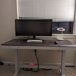 47" Standing Desk &  32" LG Curved Monitor 