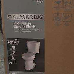 Glacier Bay Single Flush 