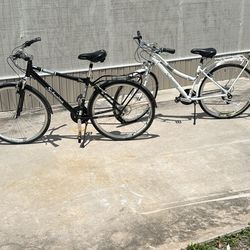 2 schwinns matching him and her