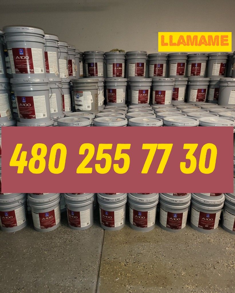 Paint For Sale 