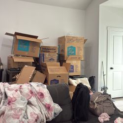 Lowe’s Moving Boxes  -heavy Duty 