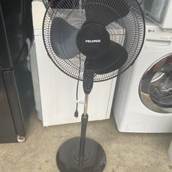 Pedestal Fan 3 Speed 