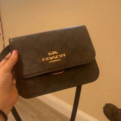 mini coach bag 
