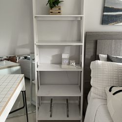 Ladder Bookshelves 