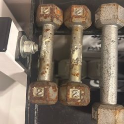 2 Pound Pair Hex Dumbbells Rusty