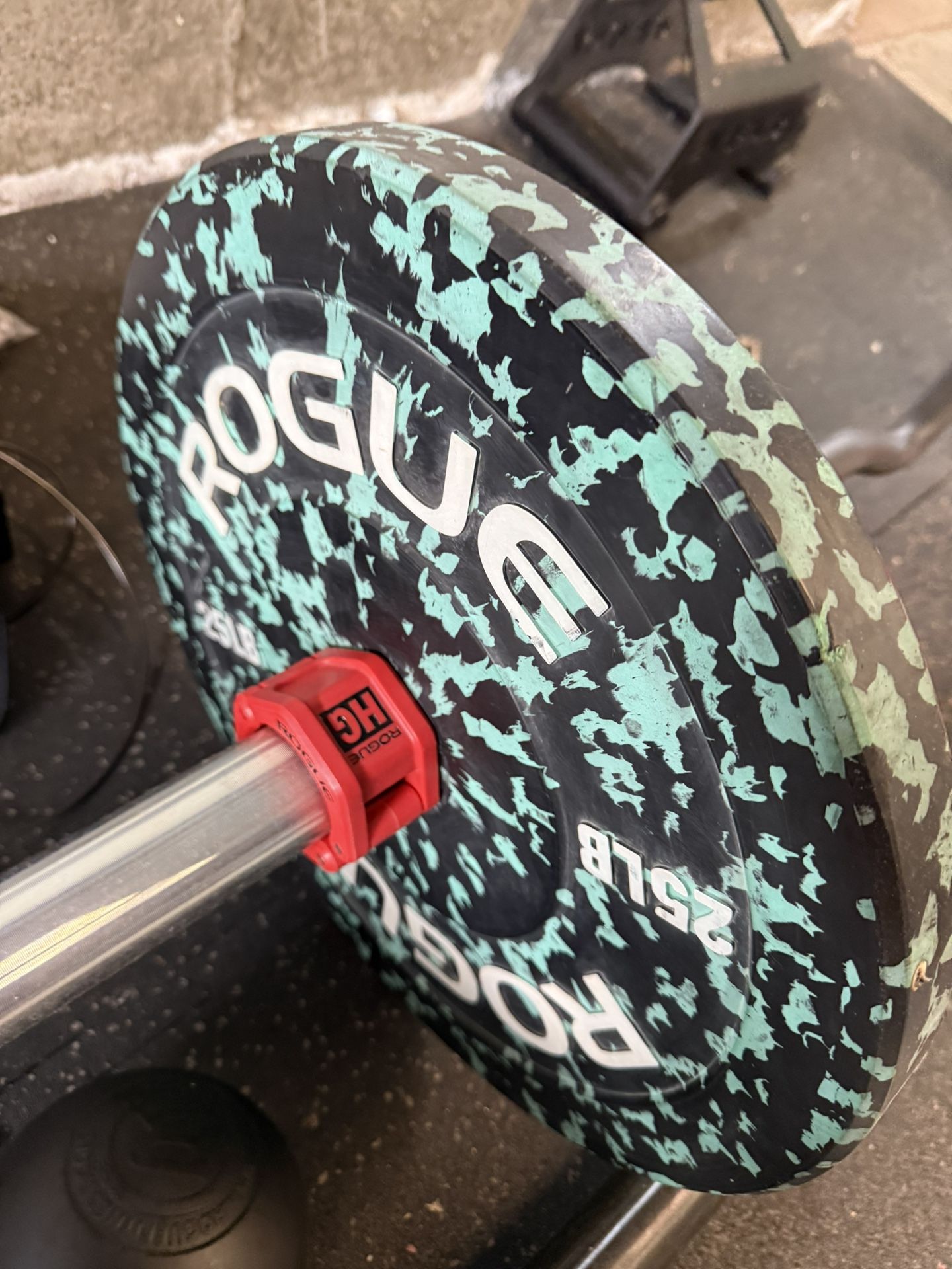 Rogue Fleck Plates With Rackable Curl Bar