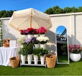 Bloom Bar