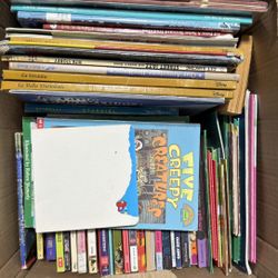 Lot Of Kids Books (100+)