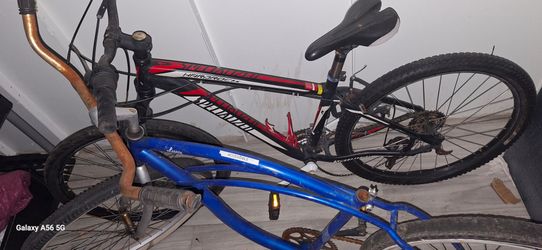 Beach cruiser and Speciliazed
