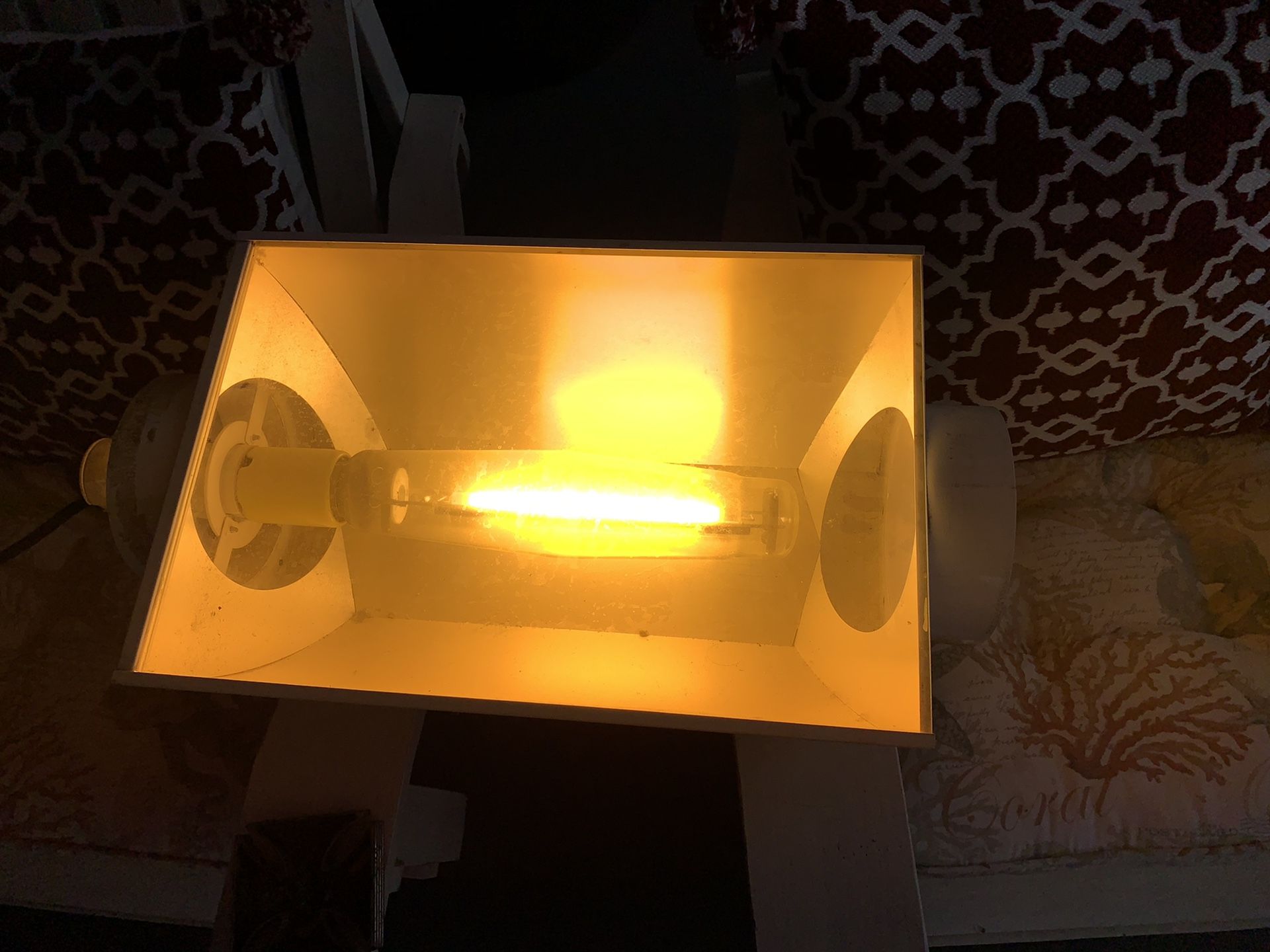 1000 watt High Pressure Sodium Grow Light with Ballast