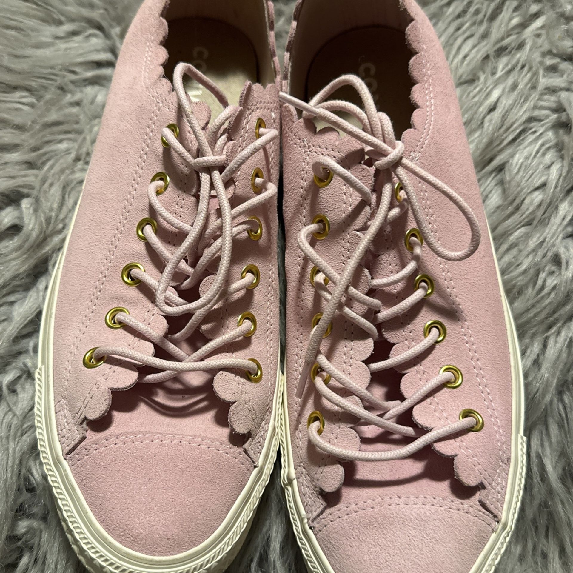 Converse Sneakers
