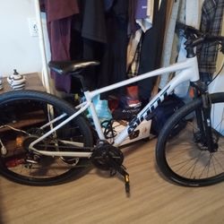 Giant Roam With Disc Brakes 