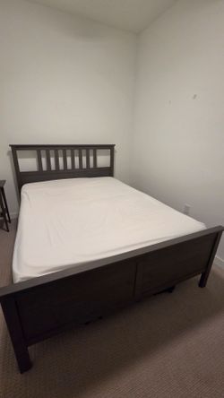 Ikea Queen Bed Frame - Move Out Sale!!