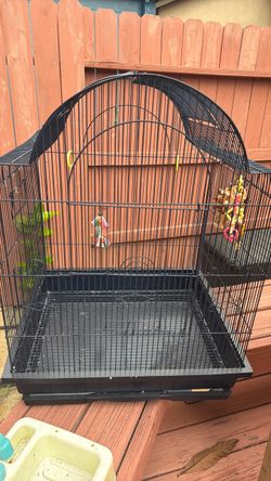 Parakeet cage