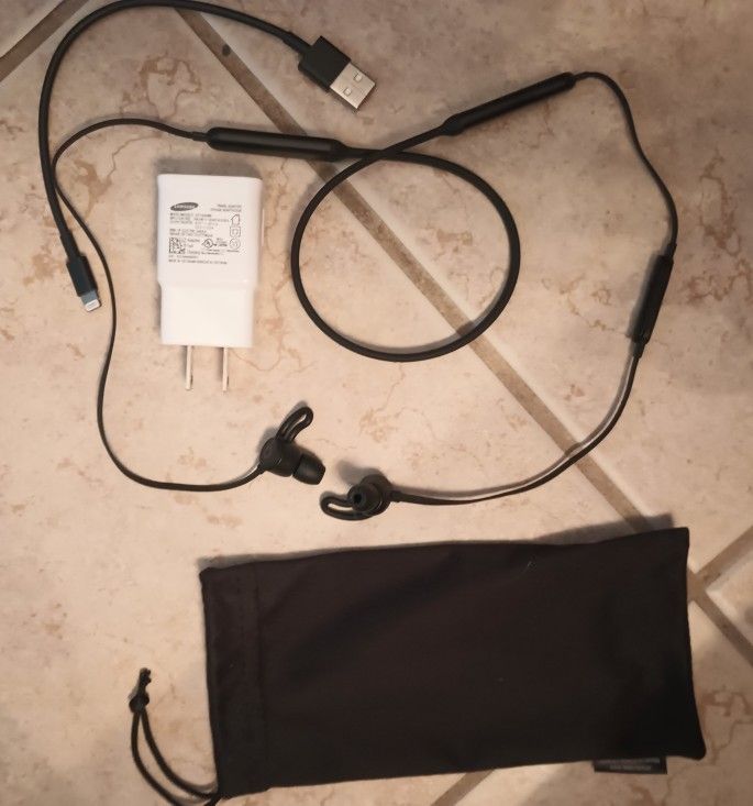 Beats Wireless Budz
