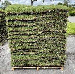 Fresh Sod