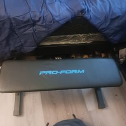 Selling ProForm single weight bench