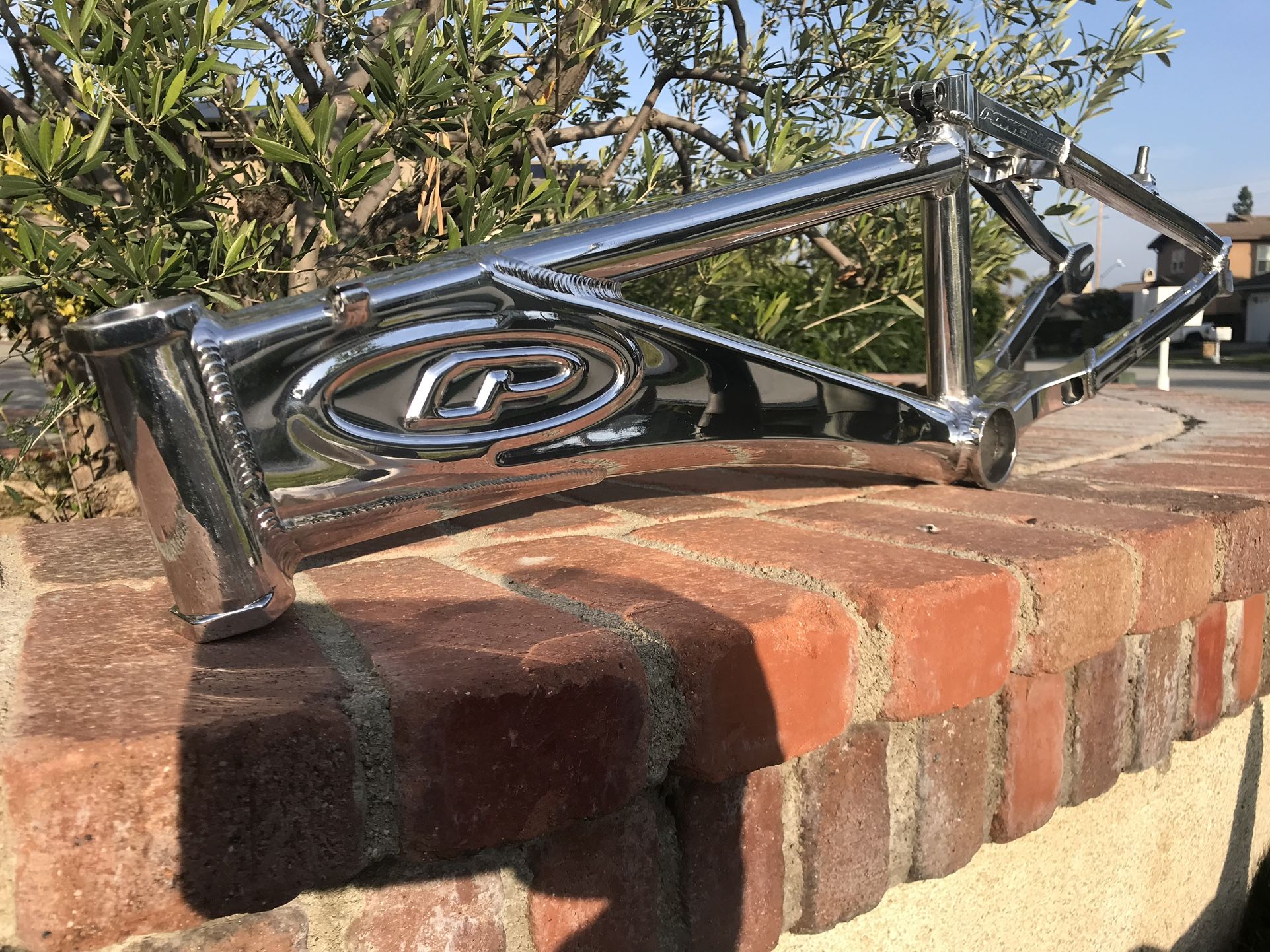 POWERLITE P61 COCPIT 20” PRO BMX FRAME