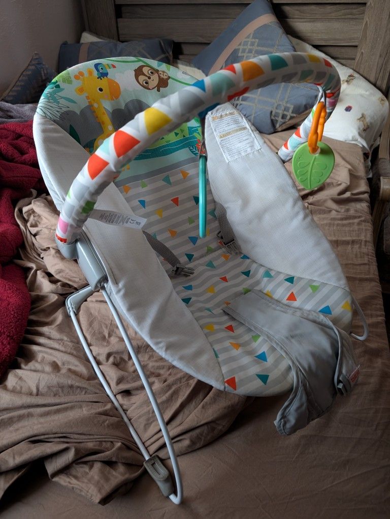 Baby Bouncer
