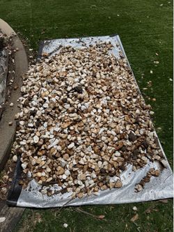 Rocks -white and light brown mixed