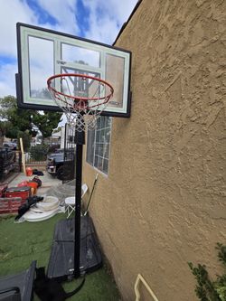 Lifetime Basketball Hoop