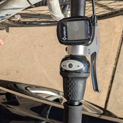 Belt Drive 7 Speed Bicycle