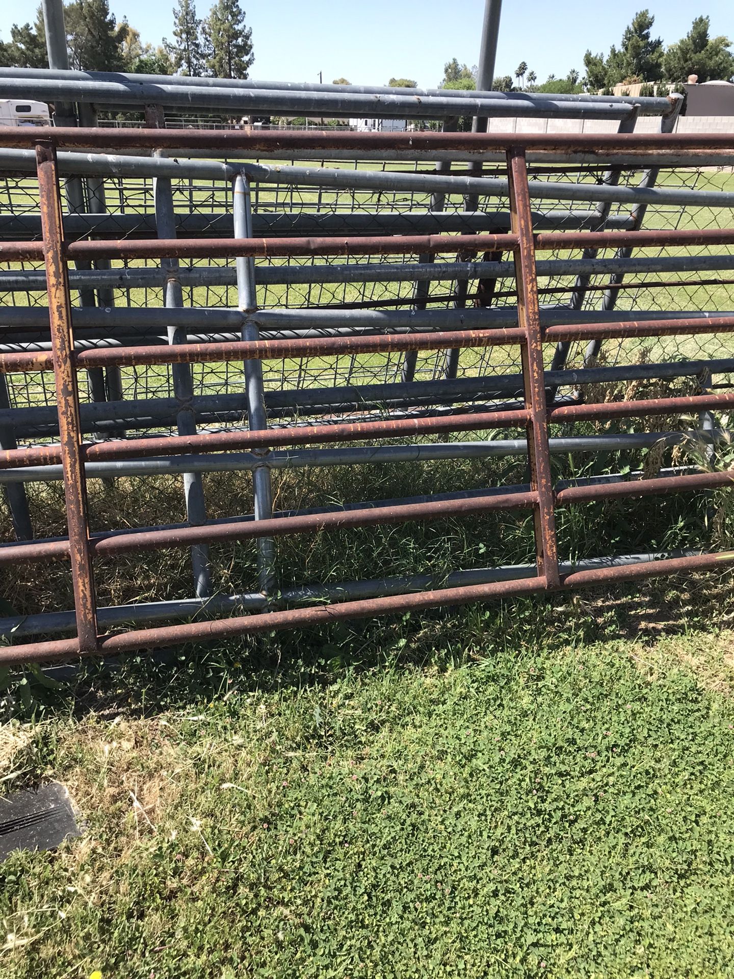 Horse Panels