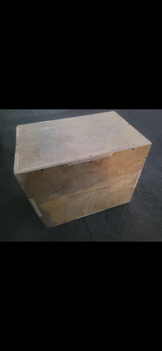 Rep Fitness Plyo Exercise  Box 📦