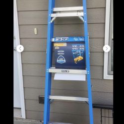 Werner 6 ft. Fiberglass Step Ladder