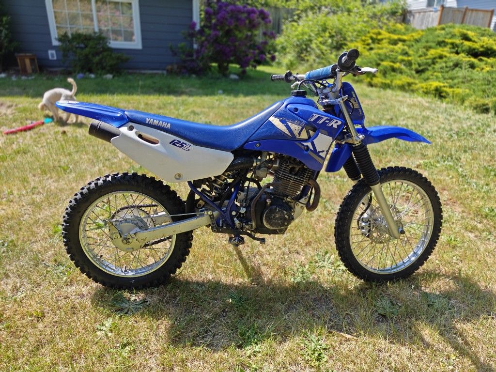 2001 Yamaha TTR125L