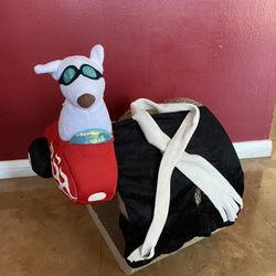 Side Rider Pet Costume / Medium 